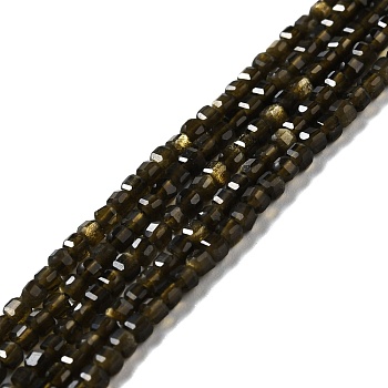 Natural Golden Sheen Obsidian Beads Strands, Faceted, Cube, 2.5x2.5x2.5mm, Hole: 0.7mm, about 170pcs/strand, 15.35''(39cm)