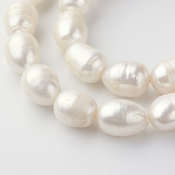 Natural Cultured Freshwater Pearl Beads Strands, Oval, Seashell Color, 11~15x10~11mm, Hole: 0.8mm, about 27pcs/strand, 13.7 inch