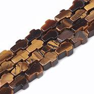 Natural Tiger Eye Bead Strands, Cross, 12~12.5x8~8.5x4mm, Hole: 1.5mm, about 33pcs/strand, 16.1 inch(G-R185-8x12mm-14)