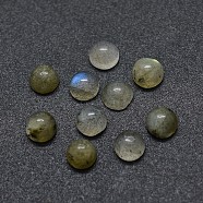 Natural Labradorite Cabochons, Half Round/Dome, 4x1.5~2.5mm(G-O175-23-11)