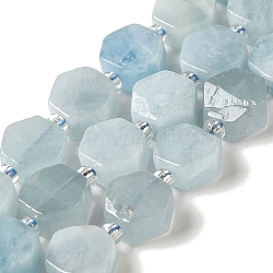Natural Aquamarine Beads Strands, Hexagon, with Seed Beads, 8.5~9x8.5~10x4~5mm, Hole: 1mm, about 37~38pcs/strand, 15.55''~15.75''(39.5~40cm)(G-P534-A08-02)