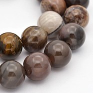 Natural Petrified Wood Round Beads Strands, 10mm, Hole: 1mm; about 40pcs/strand, 15.7 inches(G-P101-01-10mm)