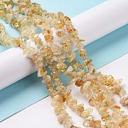 Natural Citrine Chips Beads, 5~8mm, Hole: 0.3mm, about 32~32.5 inch(X-F091)