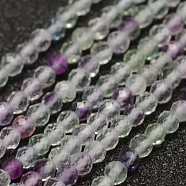 Natural Fluorite Beads Strands, Faceted, Round, 2mm, Hole: 0.5mm, about 178pcs/strand, 15.3 inch(39cm)(G-K182-2mm-11)