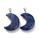 Natural Lapis Lazuli Pendants(X-G-Z022-02N)-2