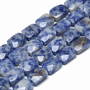 Natural Blue Spot Jasper Bead Strands, Faceted, Rectangle, 11x8x5mm, Hole: 1mm, about 18pcs/strand, 7.8 inch(G-T072-06)