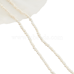 1 Strand Natural Cultured Freshwater Pearl Beads Strands, Potato, Seashell Color, 2~3x2.5~3.5x2.5~3.5mm, Hole: 0.5mm, about 113~120pcs/strand, 13.78 inch(35cm)(PEAR-NB0001-78)