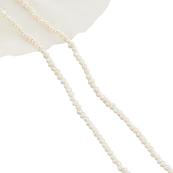 1 Strand Natural Cultured Freshwater Pearl Beads Strands, Potato, Seashell Color, 2~3x2.5~3.5x2.5~3.5mm, Hole: 0.5mm, about 113~120pcs/strand, 13.78 inch(35cm)