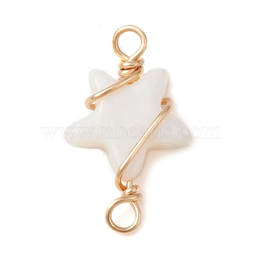 2Pcs 2 Styles Natural Freshwater Shell Copper Wire Wrapped Connector Charms(PALLOY-JF02439)-2
