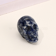 Natural Blue Spot Jasper Skull Figurine Display Decorations, Energy Stone Ornaments, 40x25x27mm(G-PW0007-061A)