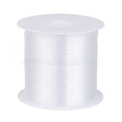 Nylon Wire, Clear, 0.25mm, about 109.36 yards(100m)/roll(NWIR-R0.25MM)