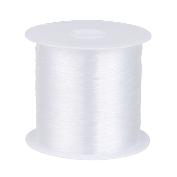 Nylon Wire, Clear, 0.25mm, about 109.36 yards(100m)/roll