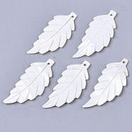 Natural Freshwater Shell Pendants, Carved, Leaf, White, 38x15.5x2mm, Hole: 1.5mm(SHEL-R047-21)
