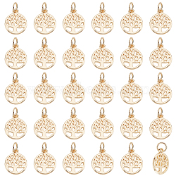 Elite 50Pcs Alloy Charms, with Jump Ring, Flat Round with Tree of Life Charm, Real 14K Gold Plated, 13x10.5x1mm, Hole: 3.4mm(FIND-PH0010-52)