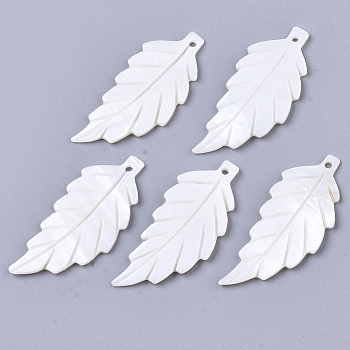 Natural Freshwater Shell Pendants, Carved, Leaf, White, 38x15.5x2mm, Hole: 1.5mm