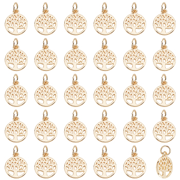 Elite 50Pcs Alloy Charms, with Jump Ring, Flat Round with Tree of Life Charm, Real 14K Gold Plated, 13x10.5x1mm, Hole: 3.4mm