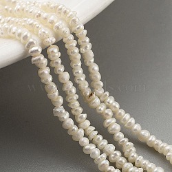 Natural Keshi Pearl Cultured Freshwater Pearl Beads Strands, Baroque Pearls, Grade 4A+, Nuggets, Navajo White, 1.8~2.3mm, Hole: 0.3mm, about 103pcs/strand, 7.28 inch(18.5cm)(PEAR-C003-35)