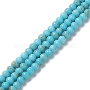 Natural Howlite Beads Strands, Dyed, Round, 2.5mm, Hole: 0.6mm, about 162~164pcs/strand, 15.51~15.55''(39.4~39.5cm)(G-E604-B04-A)