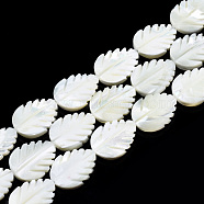 Natural Trochid Shell/Trochus Shell Beads Strands, Bleach, Leaf, White, 19.5~20x15~15.5x4mm, Hole: 0.8mm, about 20pcs/strand, 15.47 inch~15.87 inch(39.3~40.3cm)(SSHEL-N034-136A-01)