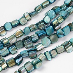 Shell Beads Strands, Dyed, Cyan, about 8~17.5mm long, 5~8mm wide, 5mm thick, hole: 1mm, 16 inch/strand, 40pcs/strand(X-PBB051Y)