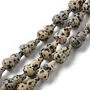 Natural Dalmatian Jasper Beads Strands, Gourd, 17.5~18.5x9.5~10mm, Hole: 1.2mm, about 23~24pcs/strand, 16.14~16.34 inch(41~41.5cm)(G-C039-A05)