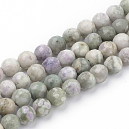 Natural Peace Jade Beads Strands, Faceted, Round, 10~10.5mm, Hole: 1.2mm, about 36pcs/strand, 14.9~15.1 inch(38~38.5cm)(G-Q462-110-10mm)