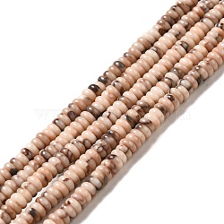 Natural Fossil Beads Strands, Rondelle, 4.5x2mm, Hole: 0.8mm, about 223~225pcs/strand, 15.94''(40.5cm)(G-I339-06)
