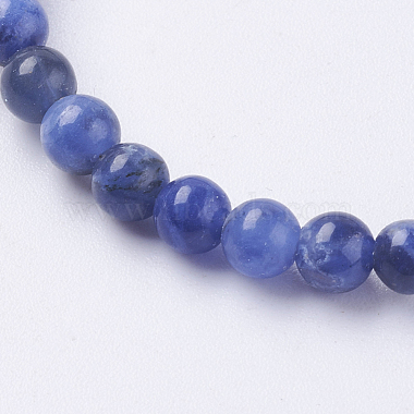 Natural Sodalite Beads Strands(X-G-G515-4mm-07)-3