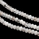 Natural Rainbow Moonstone Beads Strands(G-B107-D01-01)-4