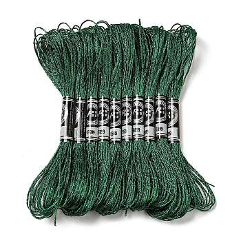 10 Skeins 12-Ply Metallic Polyester Embroidery Floss, Glitter Cross Stitch Threads for Craft Needlework Hand Embroidery, Friendship Bracelets Braided String, Sea Green, 0.8mm, about 8.75 Yards(8m)/skein