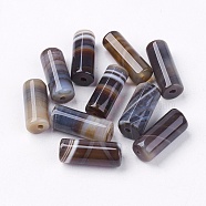 Natural Striped Agate/Banded Agate Beads, Dyed, Column, Coconut Brown, 20x8mm, Hole: 1.5mm(X-G-R179)