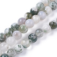 Natural Tree Agate Beads Strands, Round, 6~6.5mm, Hole: 1.2mm, about 65pcs/strand, 15.55 inch(39.5cm)(G-L533-22)