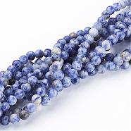 Gemstone Beads, Natural Blue Spot Jasper, Round, Cornflower Blue, 6mm, Hole: 0.8mm, about 59pcs/strand, 15 inch(GSR6mmC036)