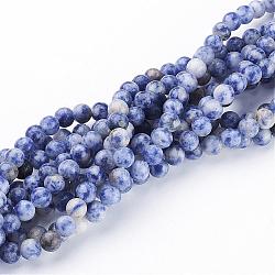 Gemstone Beads, Natural Blue Spot Jasper, Round, Cornflower Blue, 6mm, Hole: 0.8mm, about 64pcs/strand, 16 inch(GSR6mmC036)