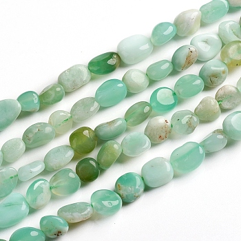 Natural Chrysoprase Beads Strands, Tumbled Stone, Nuggets, 6.5~9.5x5.5~7.5x3.5~5.5mm, Hole: 0.8mm, about 50pcs/Strand, 15.67 inch(39.8cm)