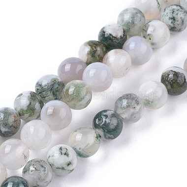 6mm Round Tree Agate Beads