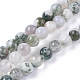 Natural Tree Agate Beads Strands(G-L533-22)-1