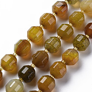 Natural Agate Beads Strands, Dyed, Faceted, with Seed Beads, Double Terminated Point Prism Beads, Bicone, Goldenrod, 10.5~12.5x10~11.5mm, Hole: 1.5mm, about 27~29pcs/strand, 14.25 inch~15.16 inch(36.2cm~38.5cm)(G-T131-118H)