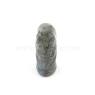 Natural Labradorite Moon with Human Face Figurines Statues for Home Office Desktop Decoration, 15x24x37mm(PW-WG92128-07)