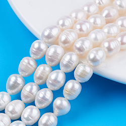 Natural Cultured Freshwater Pearl Beads Strands, Rice, Seashell Color, 10~11.5x8~9mm, Hole: 0.7mm, about 32~33pcs/strand, 13.90 inch~14.37 inch(35.3~36.5cm)(PEAR-N012-09A)