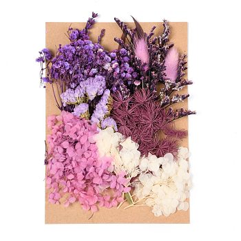 Dried Flower, for Bridal Shower, Wedding, Preserved Fresh Flower, Purple, 210x148x14~24.5mm