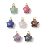 Natural Rhodonite & Lepidolite & Larvikite & Tiger Eye & Lapis Lazuli & Rose Quartz & Green Aventurine Star Charms, with Brass Bails, Golden, 11x8x5mm, Hole: 1.6mm(X-PALLOY-JF04845)