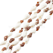 Elite Natural Sea Shell Beads Strands, Mixed Color, 10~18x6~10x6~10mm, about 132pcs/strand, 62.9 inch, 4 strands/box(SHEL-PH0001-41)