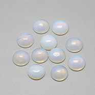 Opalite Cabochons, Half Round/Dome, 6x3~4mm(X-G-R416-6mm-49)