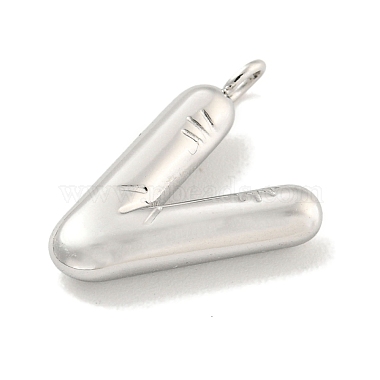 Non-Tarnish 304 Stainless Steel Pendants(STAS-C102-15P-V)-2