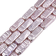 ABS Plastic Imitation Pearl Beads Strands, AB Color Plated, Rectangle, Rosy Brown, 22x8.5x4mm, Hole: 0.6mm, about 19pcs/strand, 16.14 inch~16.34 inch(41~14.5cm)(KY-N015-04-05D)