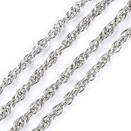 Iron Rope Chains, Unwelded, Platinum Color, with Spool, Link:3mm, wire: 0.6mm thick, about 328.08 Feet(100m)/roll(CHP003Y-N)