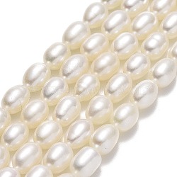 Natural Cultured Freshwater Pearl Beads Strands, Rice, Linen, 6~7.5x4.8~5.3mm, Hole: 0.5mm, about 56~57pcs/strand, 14.17~14.57''(36~37cm)(PEAR-J006-20B-01)