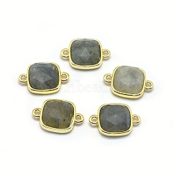 Natural Labradorite Links connectors, with Golden Tone Brass Findings, Square, Faceted, 16x11x5mm, Hole: 1.2mm(G-O177-15I-G)