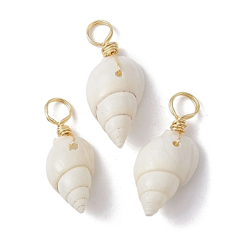 Natural Spiral Shell Pendants, with Real 18K Gold Plated Copper Wire Loops, Shell Charms, White, 22~25x8~10x7~9mm, Hole: 3.8~4mm